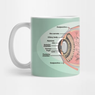 National Eye Care Month, Eye Diagram Mug